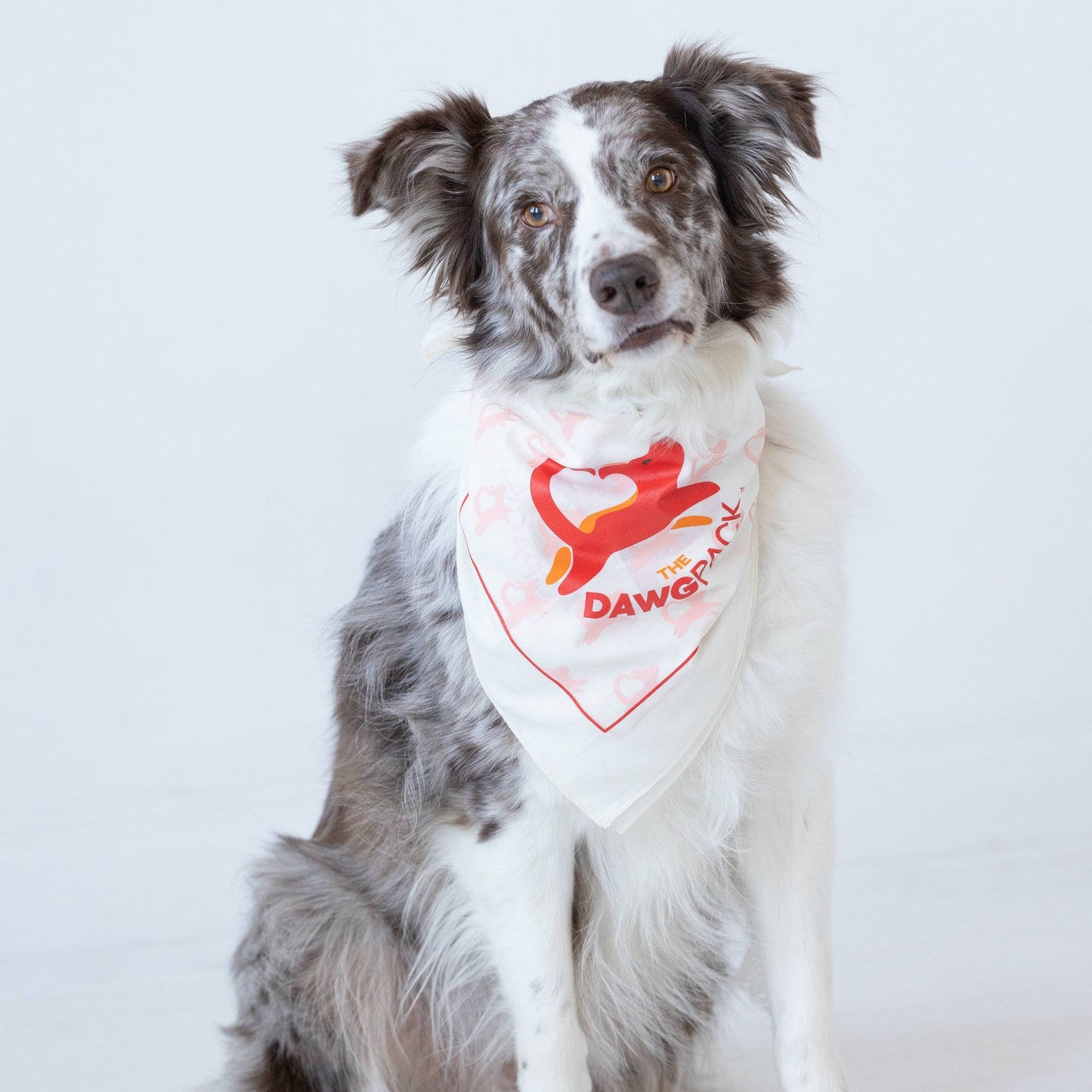 ADVENTURE BANDANA