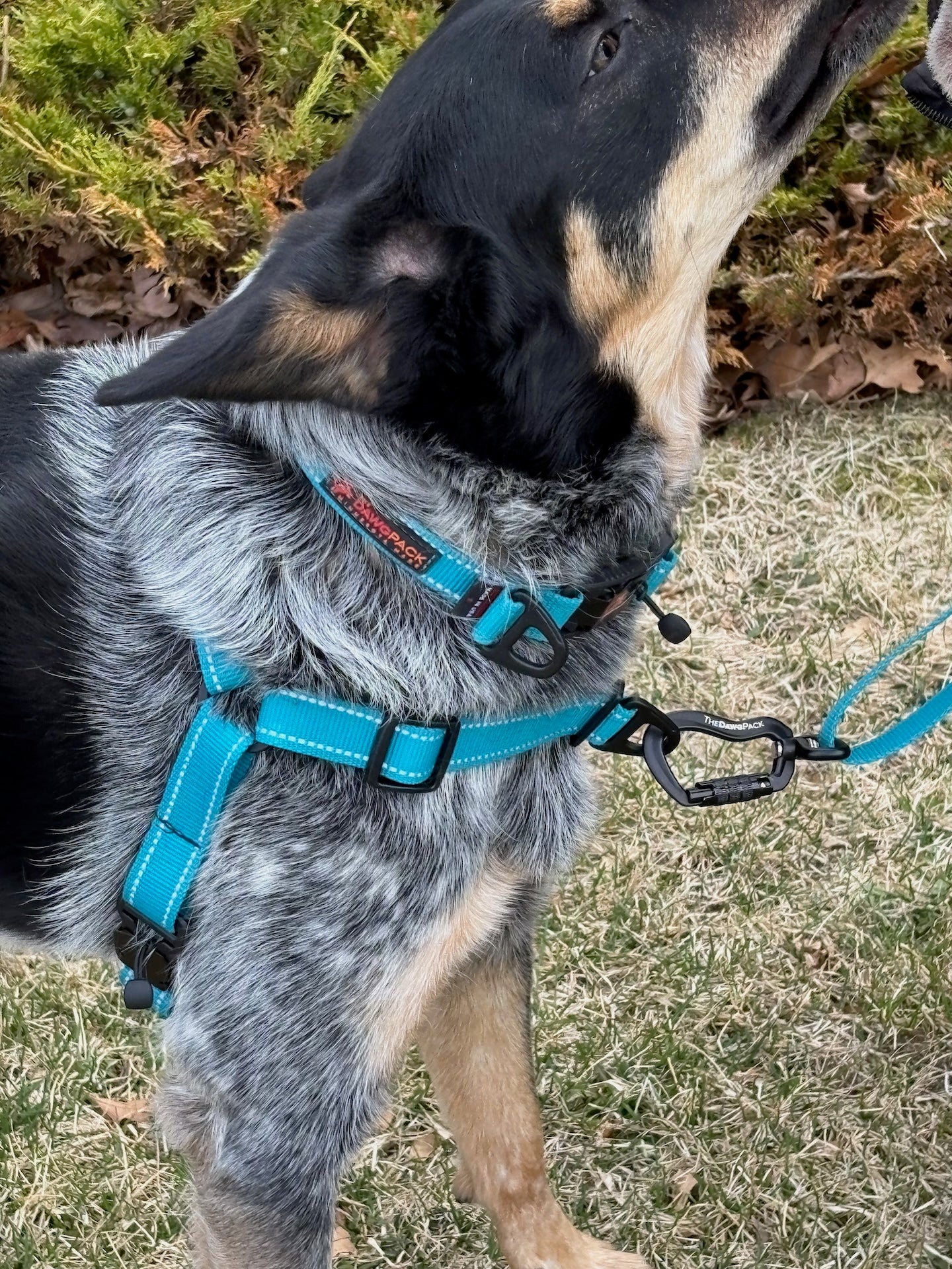 HERO HARNESS™