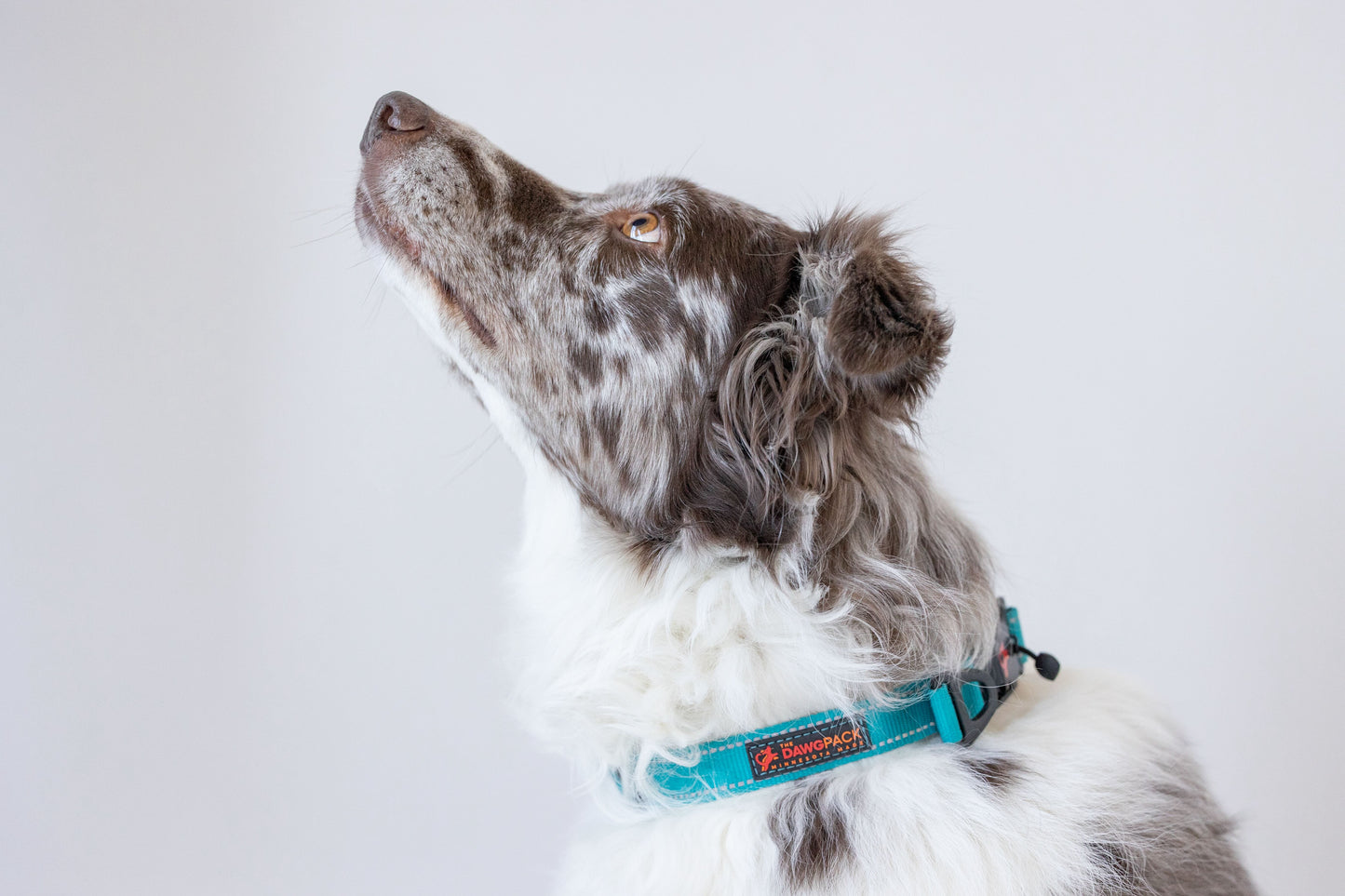 HERO COLLAR™