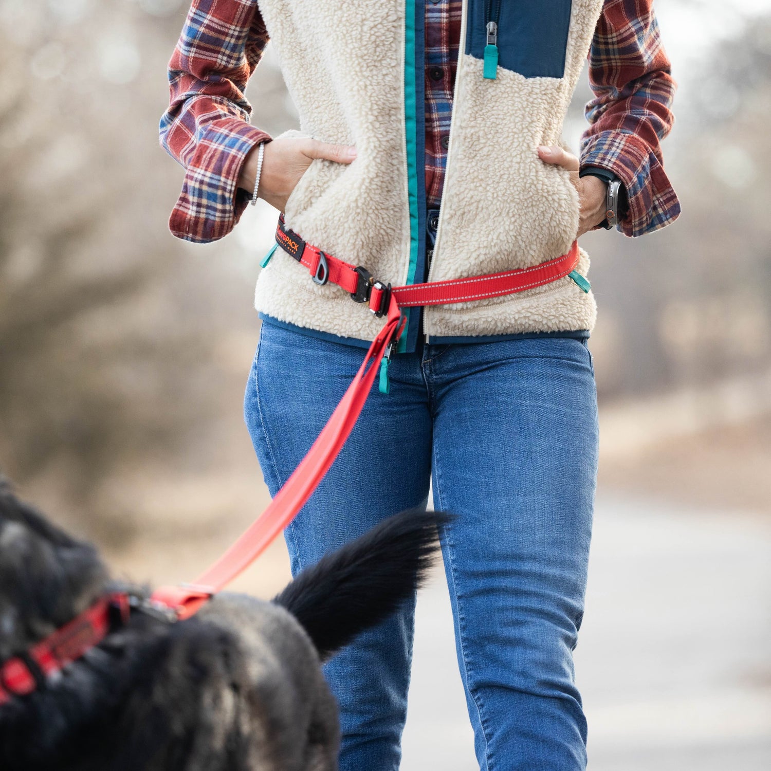 Person walking a dog on a leash in a park