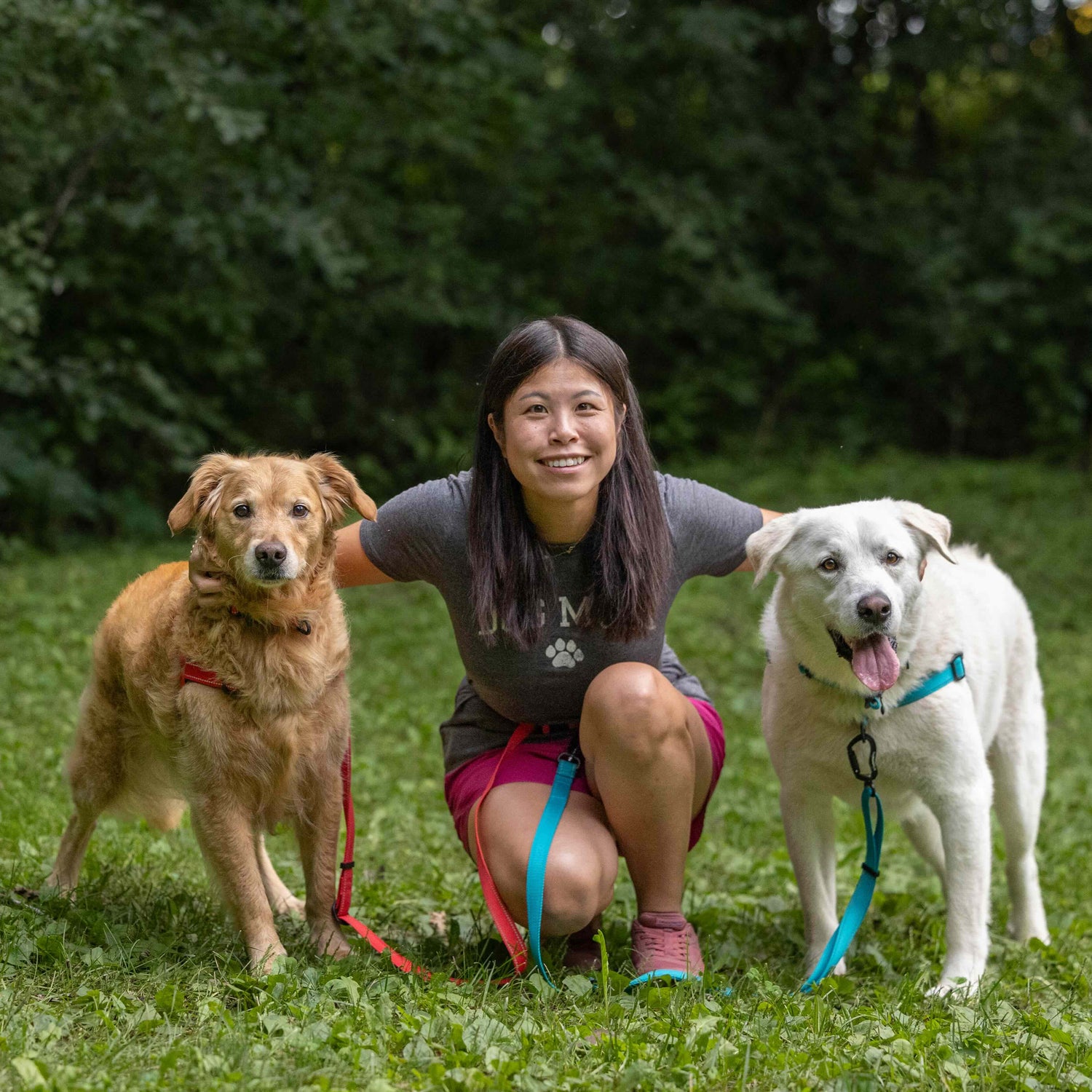 Woman with two dogs on leashes in a grassy area