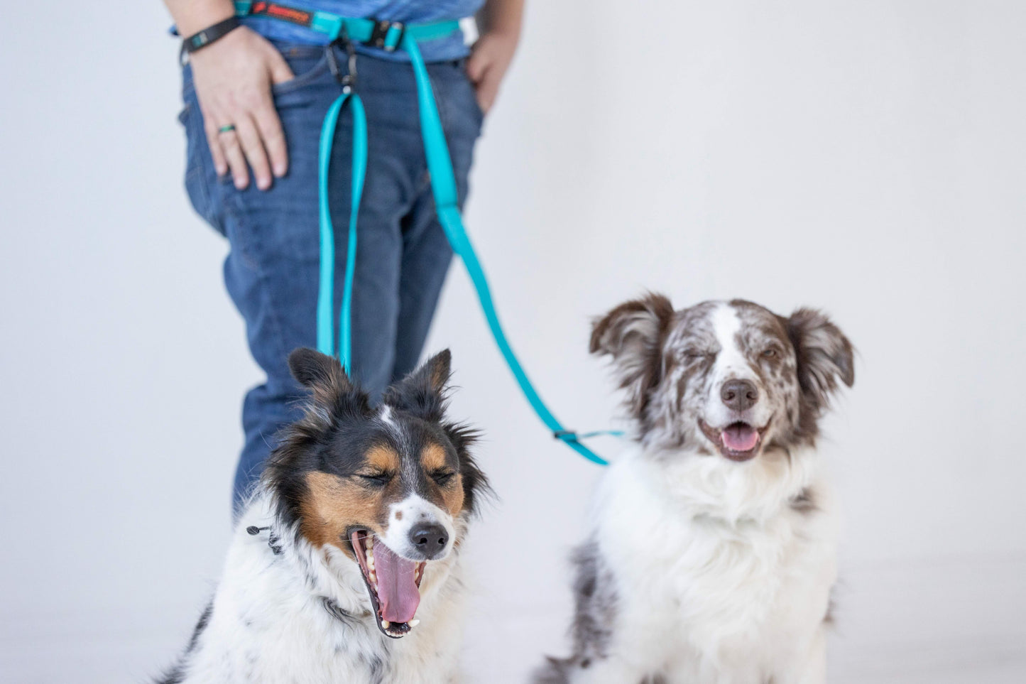 SIDEKICK LEASH™