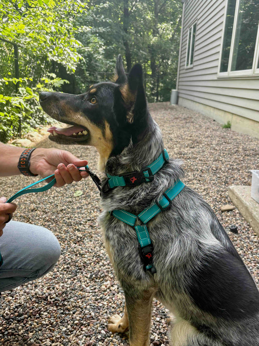 Hero Harness™