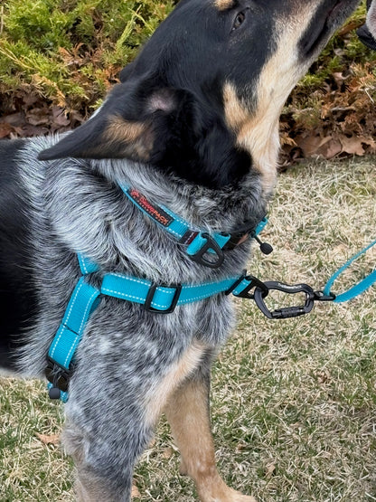 HERO HARNESS™
