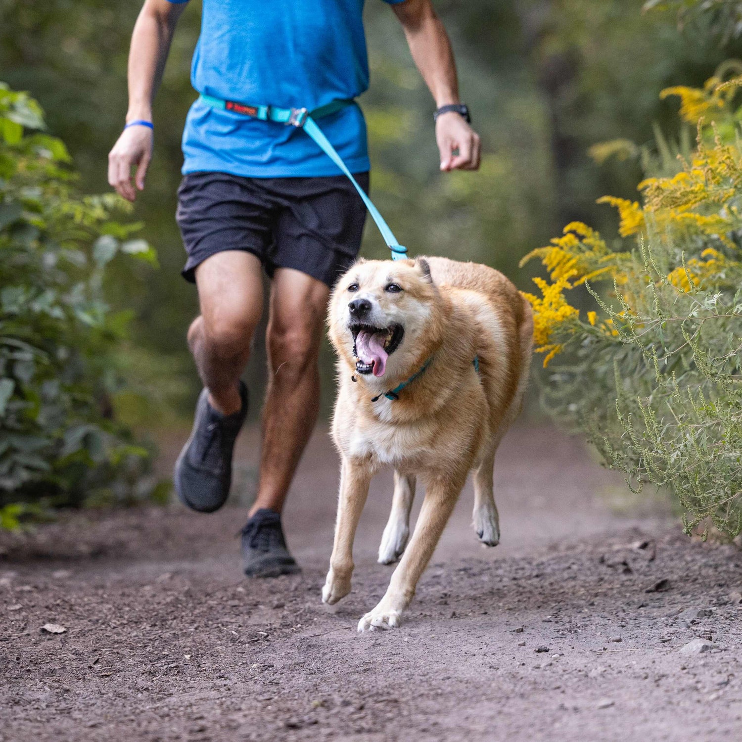 Person running with a dog on a trail in a natural setting