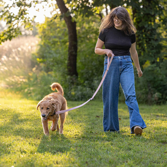 Trailblazer Leash™ - Go from 3’ to 6’ in seconds