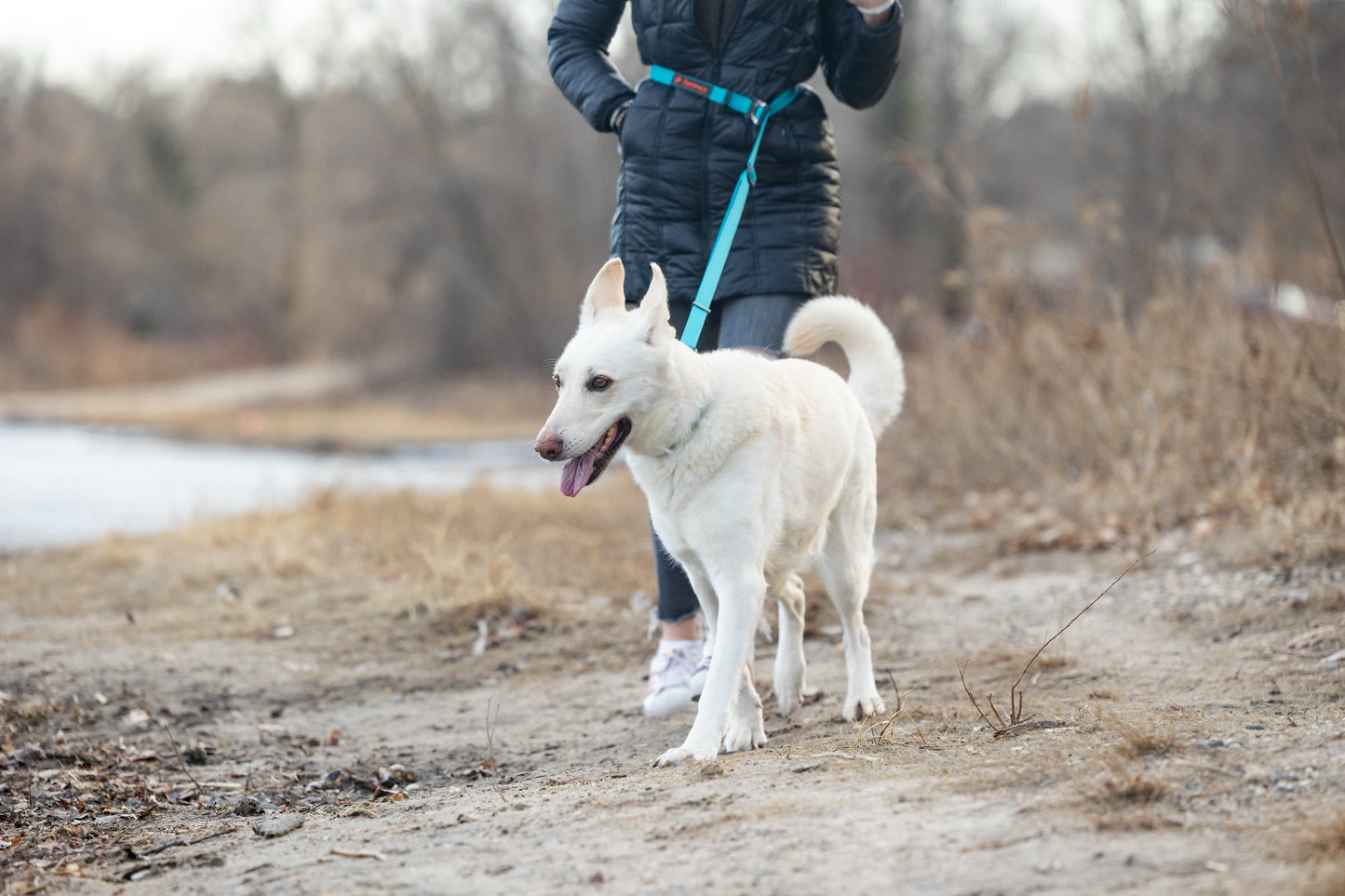 HERO LEASH™