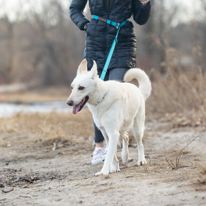 Person walking a white dog on a leash in a natural setting with a body of water in the background.