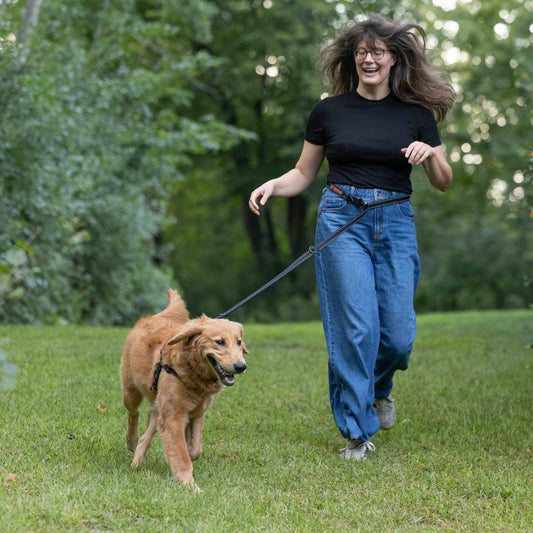 Woman walking a dog on a leash in a park