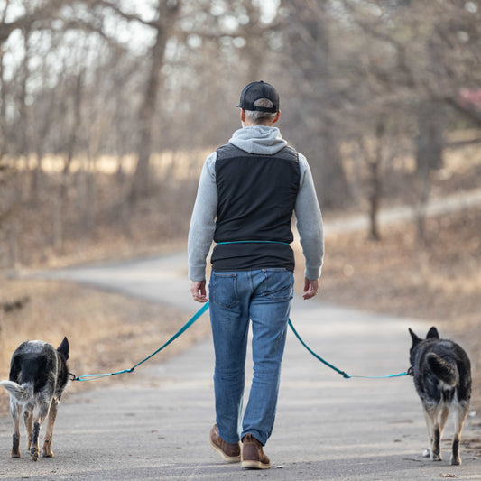 Man walking two dogs on a path in a wooded area